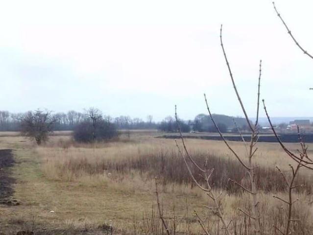 Дом продажа в Белгородская область