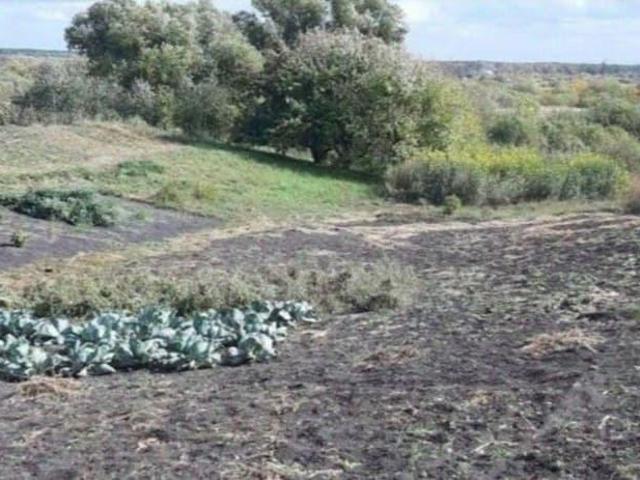 Дом продажа в Бессоновский Р-н, Пензенская область