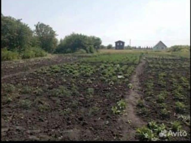 Дом продажа в Белгородская область