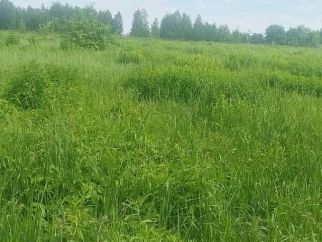 Дом продажа в Тыва Республика