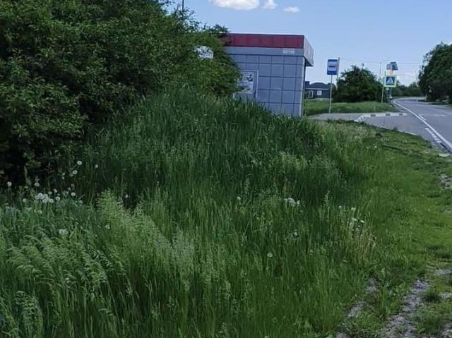 Дом продажа в Ближняя Игуменка, Белгородская область
