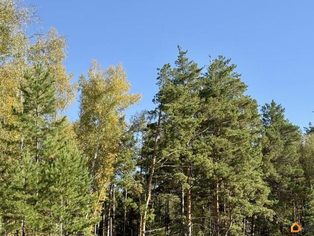 Дом продажа в Алтайский Край
