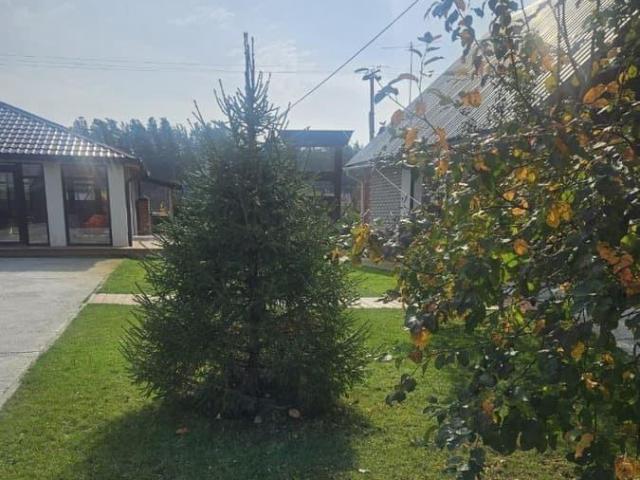 Дом продажа в Алтайский Край