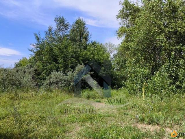 Дом продажа в Алтайский Край