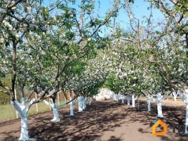 Дом продажа в Ростовская область