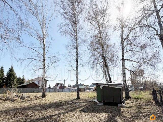 Дом продажа в Новосибирская область
