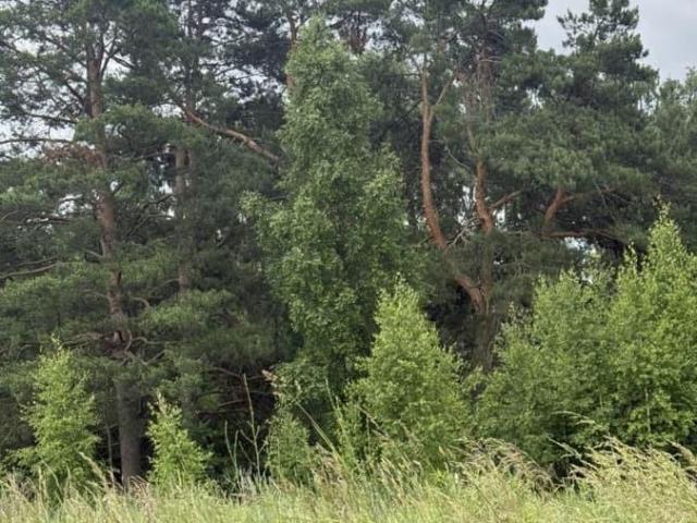 Дом продажа в Тульская область