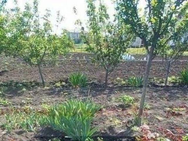 Дом продажа в Белгородская область