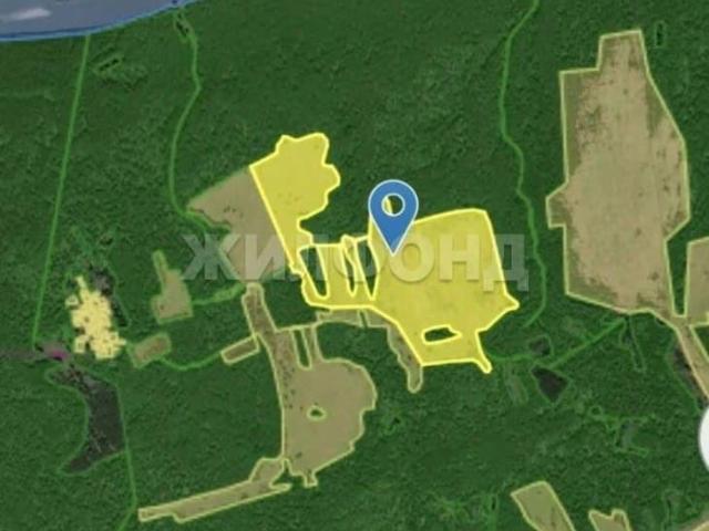 Дом продажа в Новосибирская область