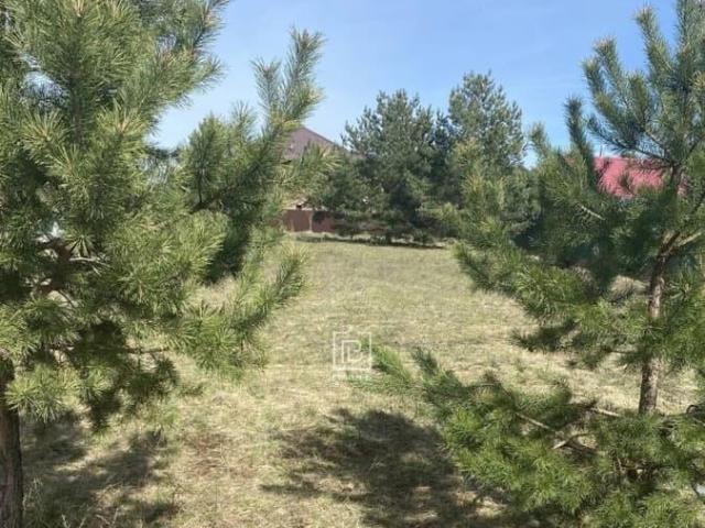 Дом продажа в Дзержинский район, Дворцы Д