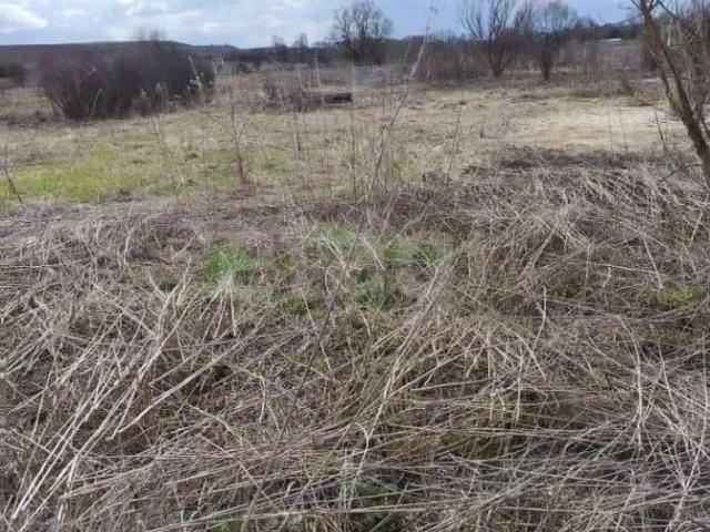 Дом продажа в Мордовия Республика
