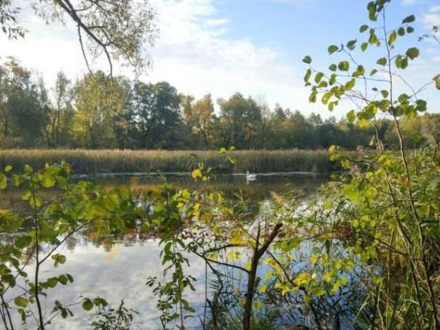 Дом продажа в Екатериновка С, Краснодарский Край