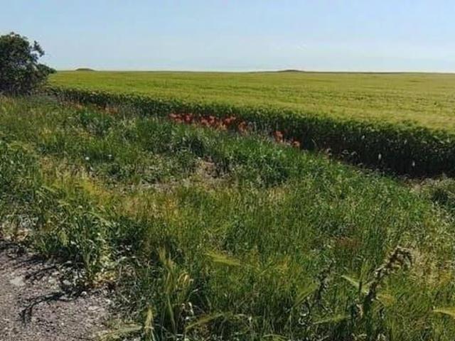 Дом продажа в Ленинский район