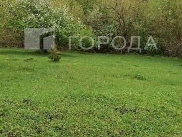 Дом продажа в Алтайский Край