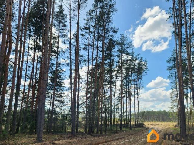 Дом продажа в Владимирская область