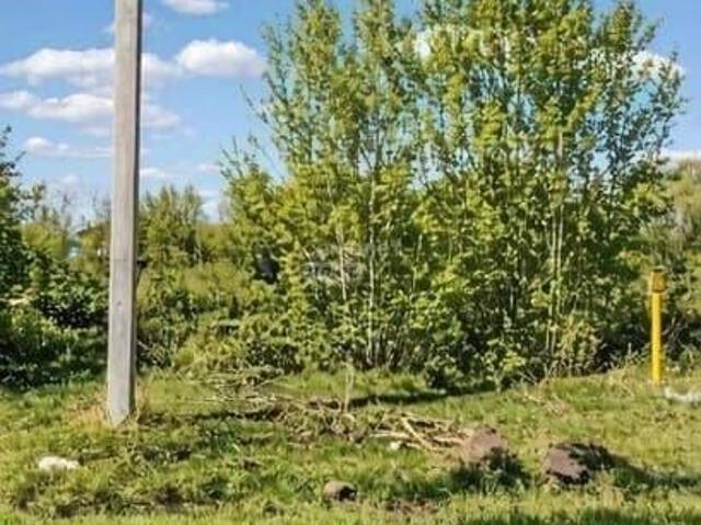Дом продажа в Алтайский Край