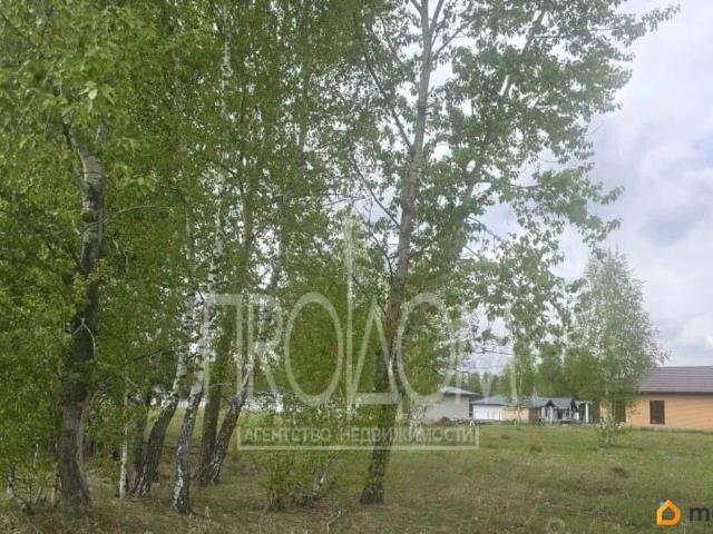 Дом продажа в Алтайский Край