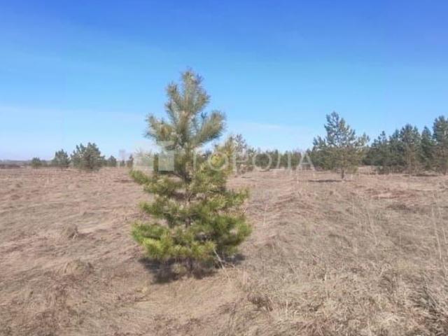 Дом продажа в Алтайский Край