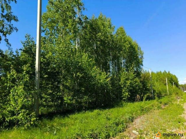 Дом продажа в Алтайский Край