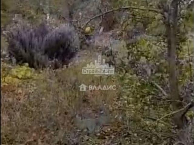 Дом продажа в Ленинский район, Глазовка С