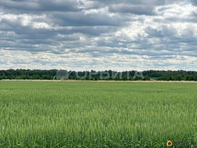 Дом продажа в Тюменская область