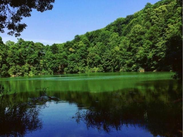Дом продажа в Краснодарский Край