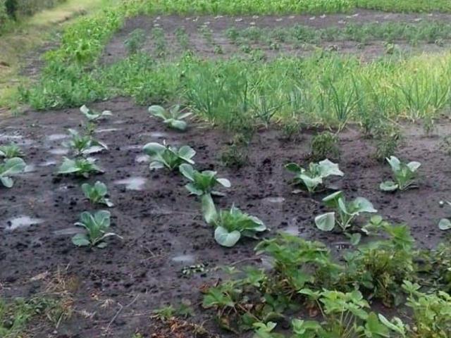 Дом продажа в Городище С, Белгородская область