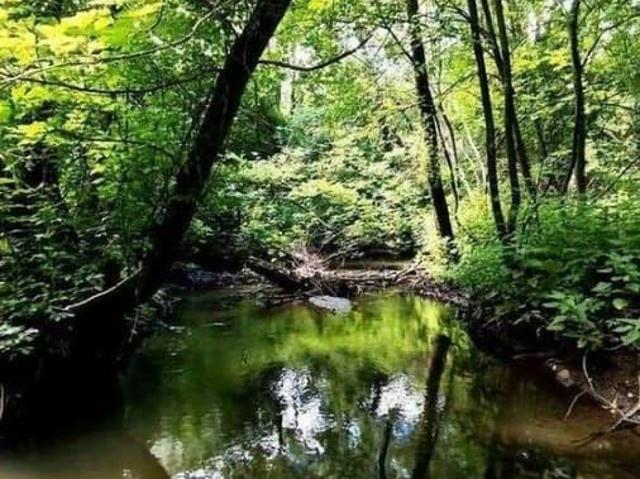 Дом продажа в Воронежская область