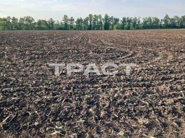 Дом продажа в Воронежская область