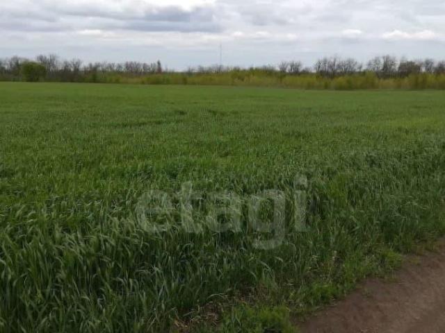 Дом продажа в Воронежская область