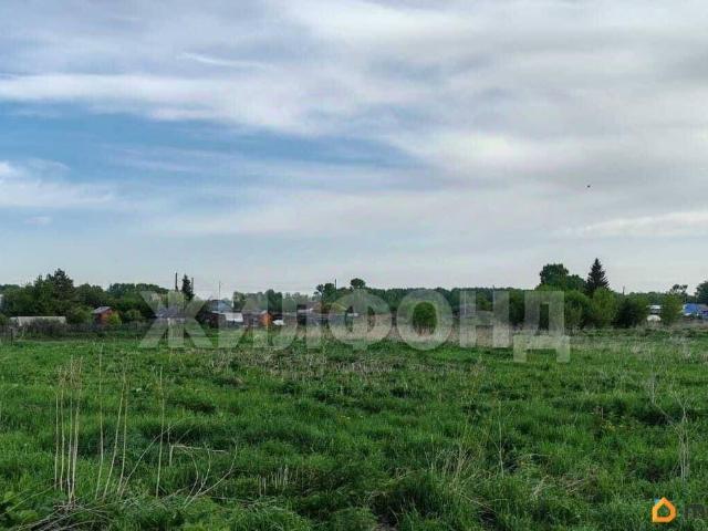 Дом продажа в Новосибирская область