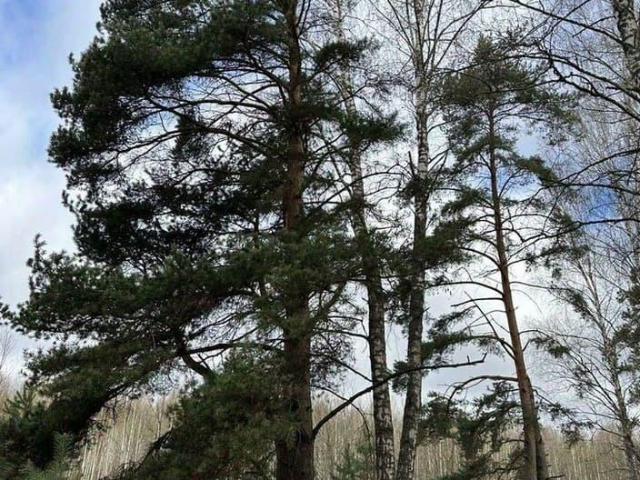 Дом продажа в Ивановское Д, Кабардино-Балкарская Республика