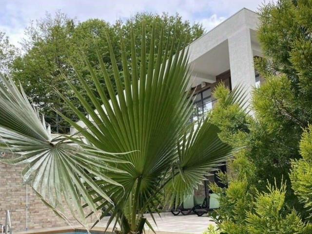 Дом продажа в Верхневеселое С, Краснодарский Край