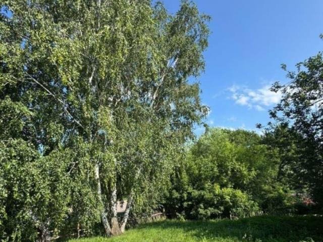 Дом продажа в Алтайский Край