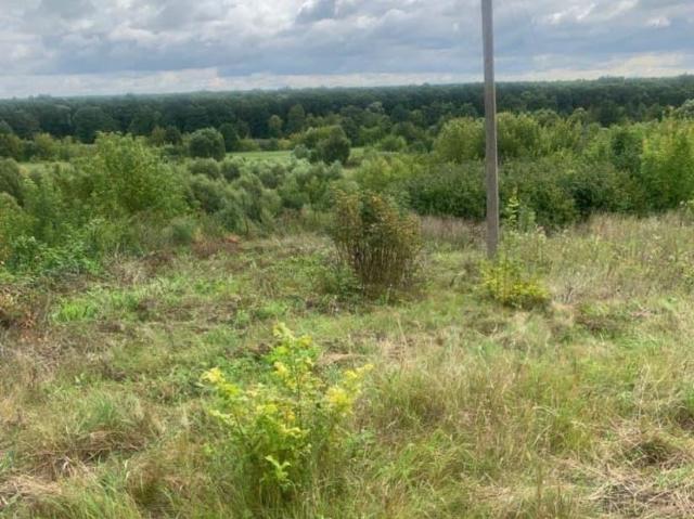 Дом продажа в Воронежская область
