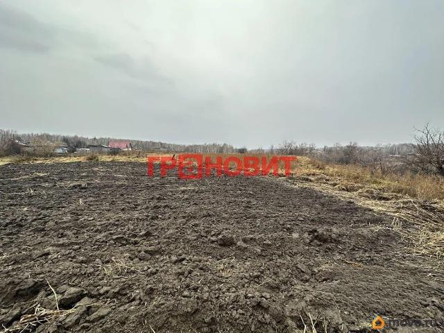Дом продажа в Новосибирская область