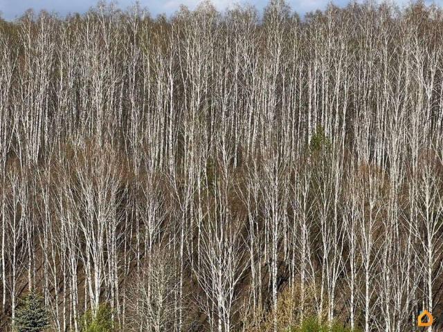 Дом продажа в Свердловская область