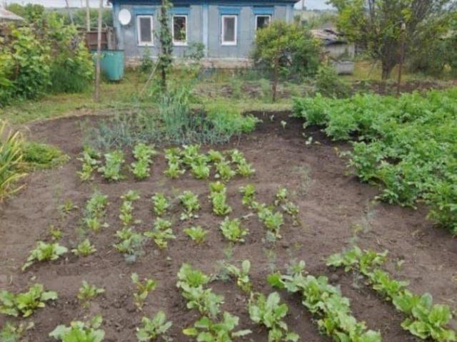 Дом продажа в Воронежская область