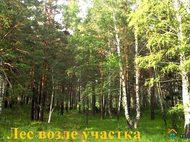 Дом продажа в Алтайский Край