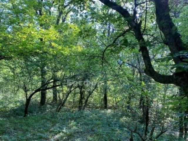Дом продажа в Краснокаменка