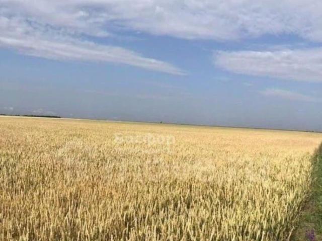 Дом продажа в Красносельское Д