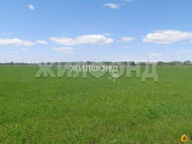 Дом продажа в Новосибирская область
