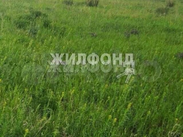 Дом продажа в Новосибирская область