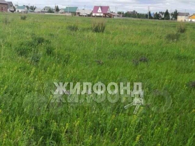 Дом продажа в Новосибирская область