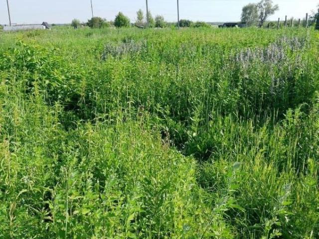 Дом продажа в Криводановка, Новосибирская область