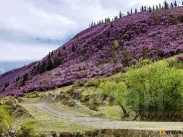 Дом продажа в Купчегеньское, Республика Алтай