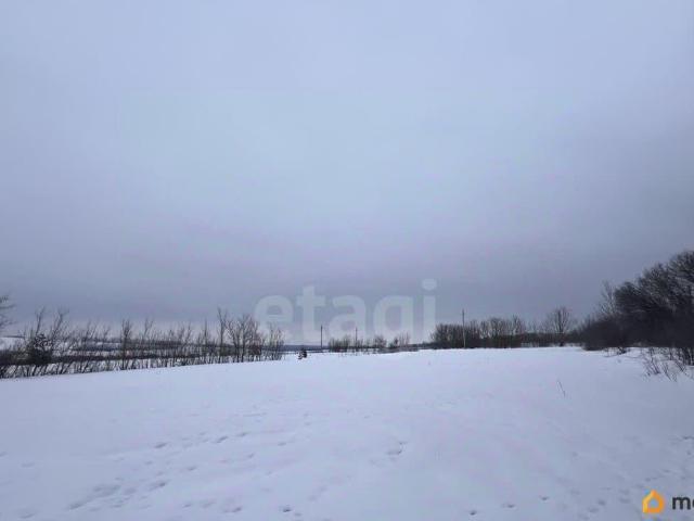 Дом продажа в Курское С, Белгородская область