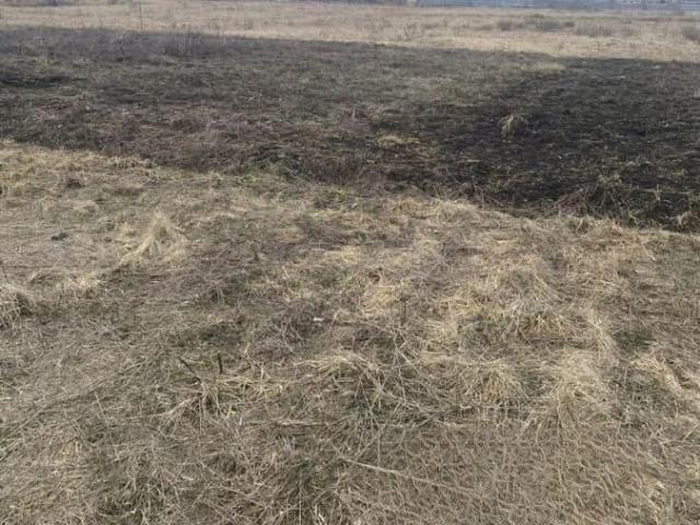 Дом продажа в Курское С, Белгородская область