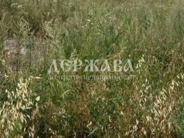 Дом продажа в Курское С, Белгородская область