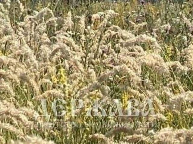 Дом продажа в Курское С, Белгородская область